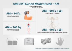 ЧЭНС-01-Скэнар в Салавате купить Медицинский интернет магазин - denaskardio.ru 