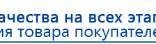 Электроды Скэнар -  двойной овал 55х90 мм купить в Салавате, Электроды Скэнар купить в Салавате, Медицинский интернет магазин - denaskardio.ru